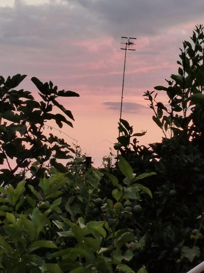 Dimora Di Donna Rita Otel Anacapri  Dış mekan fotoğraf