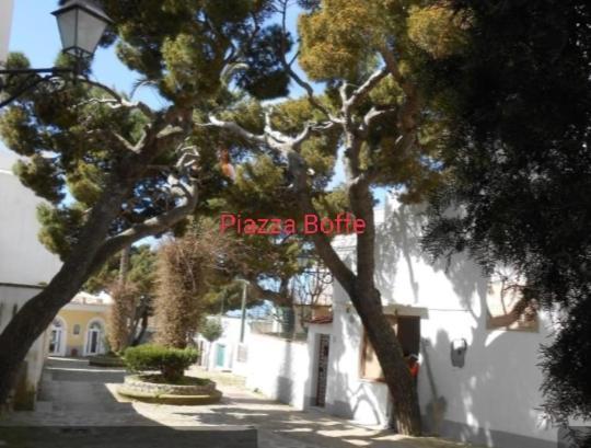 Dimora Di Donna Rita Otel Anacapri  Dış mekan fotoğraf